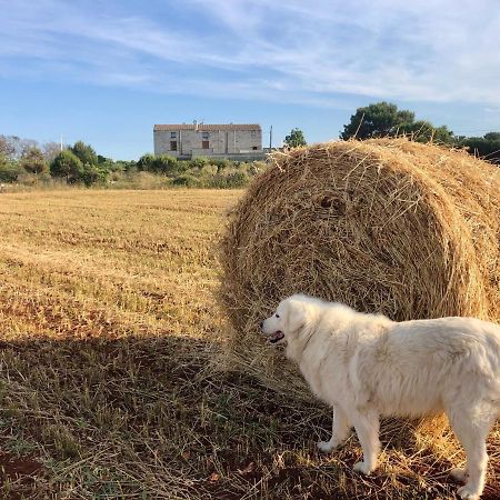 Agriturismo La Palascia Masseria Agreste Отранто Екстериор снимка
