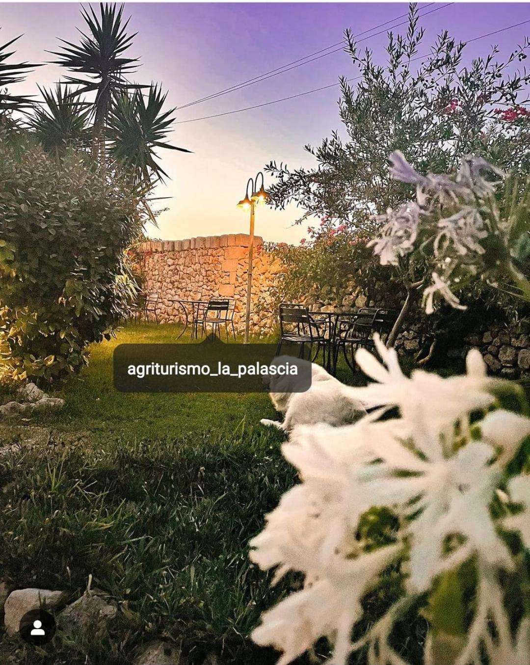 Agriturismo La Palascia Masseria Agreste Отранто Екстериор снимка