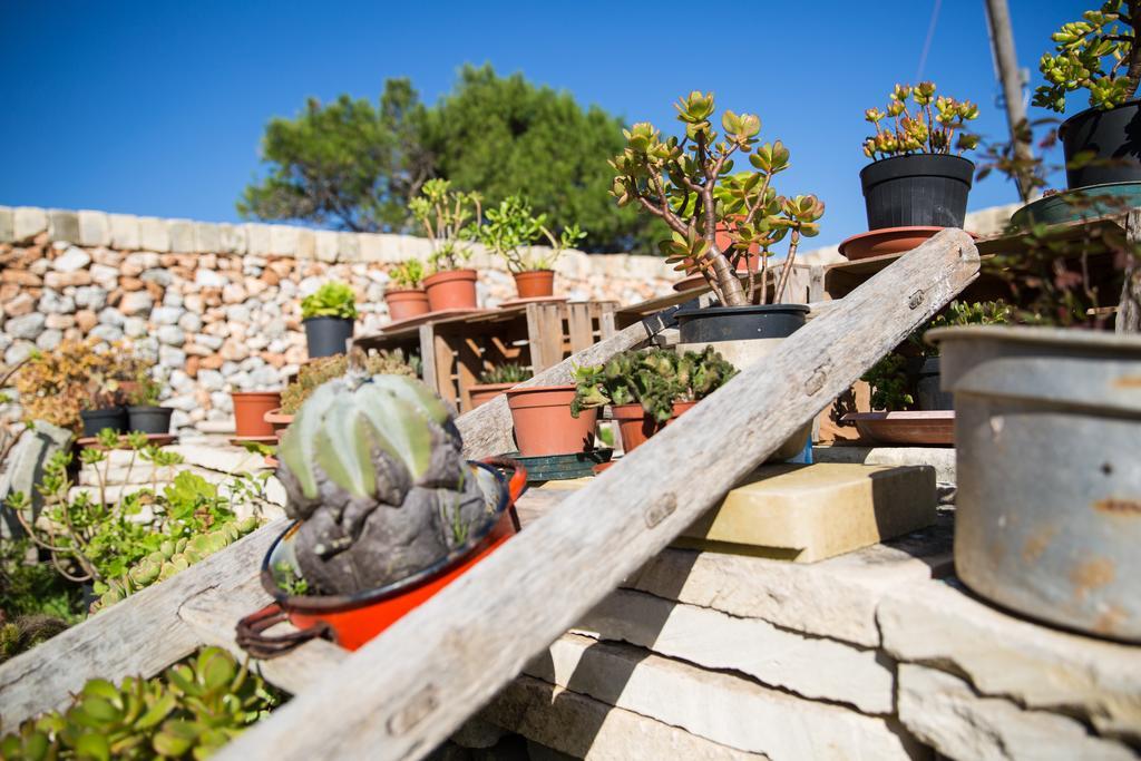 Agriturismo La Palascia Masseria Agreste Отранто Стая снимка