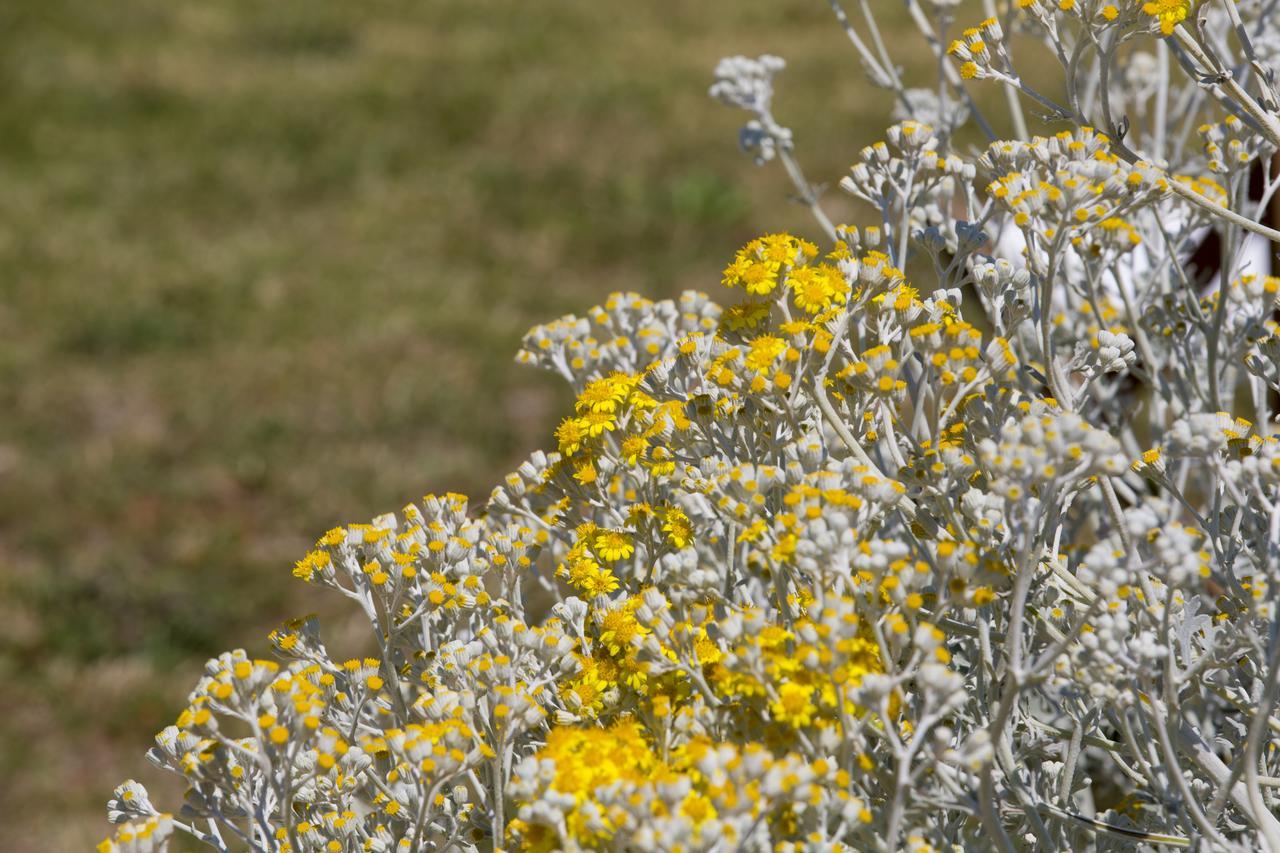 Agriturismo La Palascia Masseria Agreste Отранто Екстериор снимка