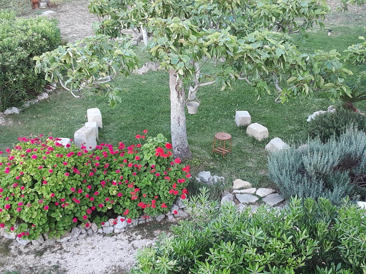 Agriturismo La Palascia Masseria Agreste Отранто Екстериор снимка